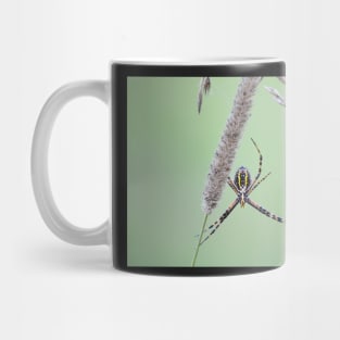 The Weaver Mug